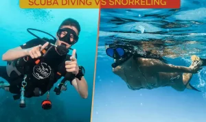 Jenis Olahraga Air dan Perbedaan Diving dan Snorkeling